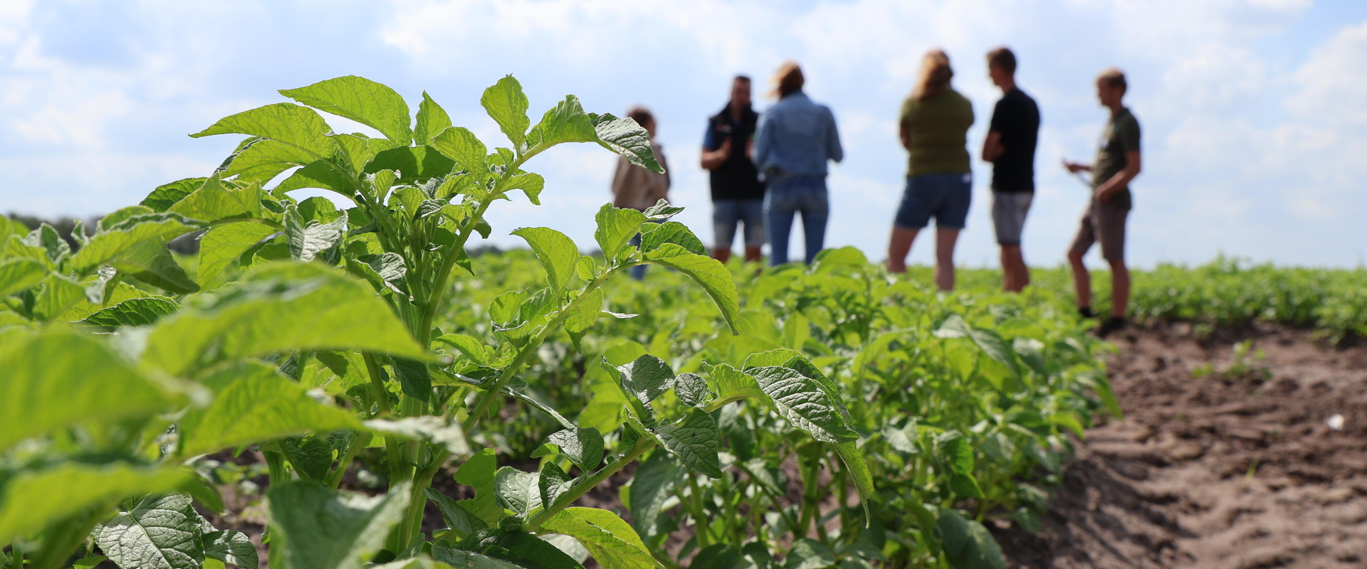 AgroPoeftuin de Peel is nu De AgroProeftuin Noordoost Brabant