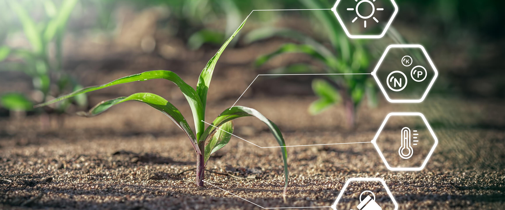 Next Tech Nature Farms zet in op systeemsprong in de landbouw