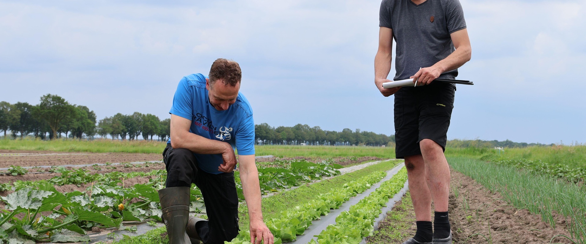 Proefpercelen beschikbaar bij De AgroProeftuin Noordoost Brabant 